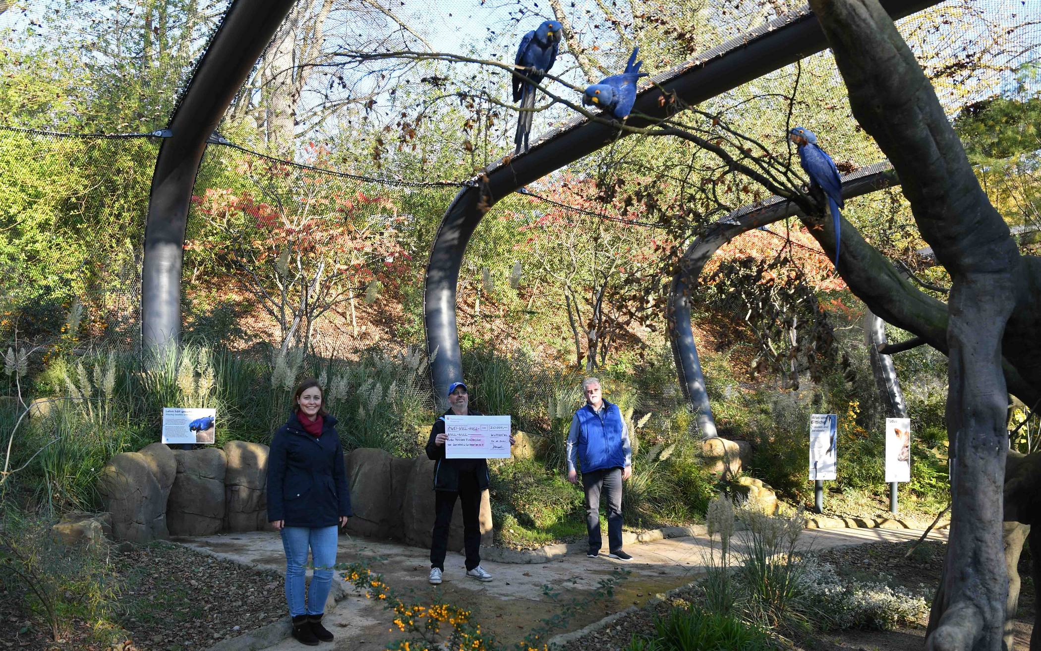 Zoo-Verein setzt sich weiter für Ara-Schutz ein