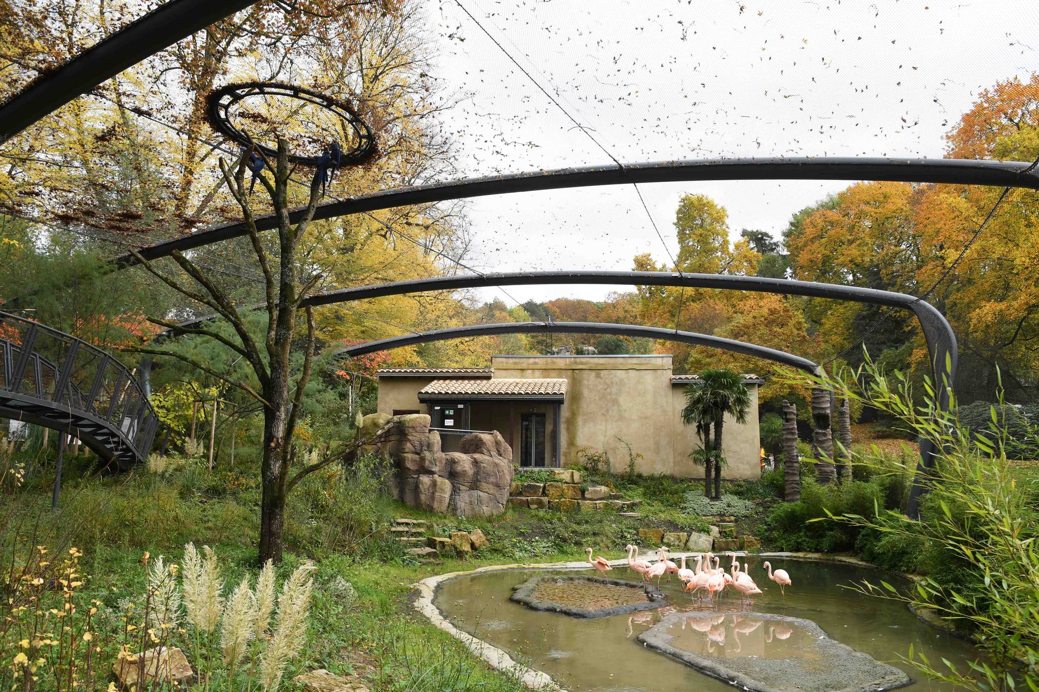 Die neue Freiflugvoliere „Aralandia“ im Grünen Zoo Wuppertal.