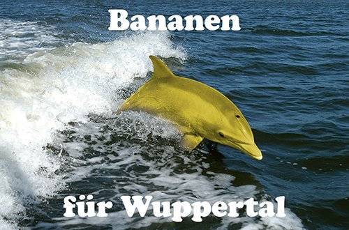 Sebastian Jung und seine „Bananen für Wuppertal“