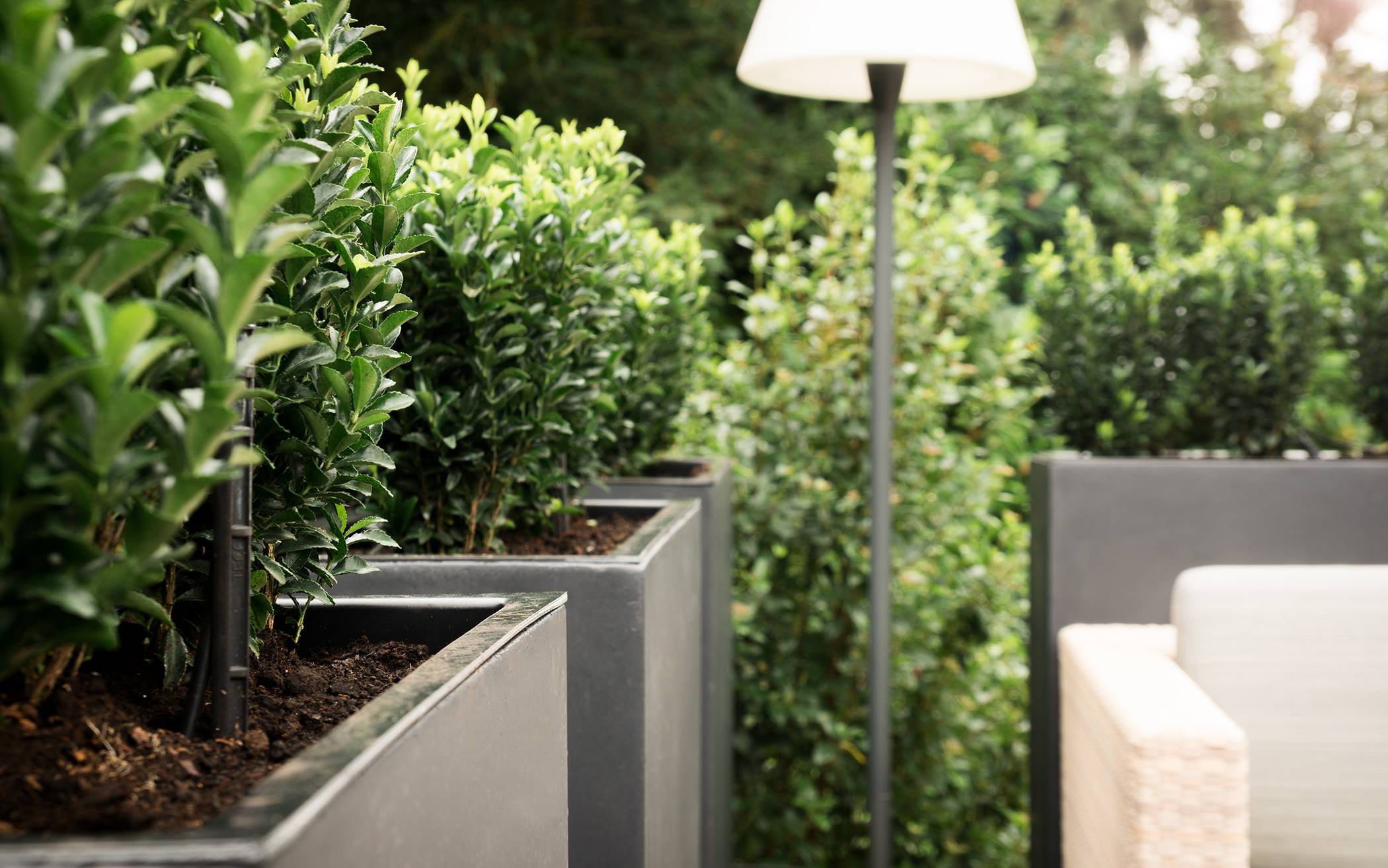 Pflanzenkübel: Balkon-und Gartengestaltung mit Pflanzkübeln