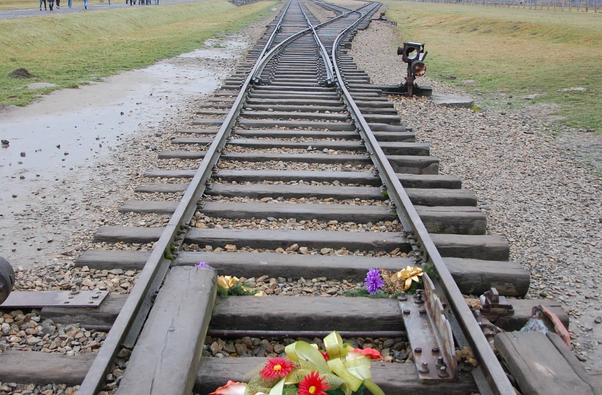  Die Gleise zur Selektionsrampe im Vernichtungslager Auschwitz-Birkenau. 