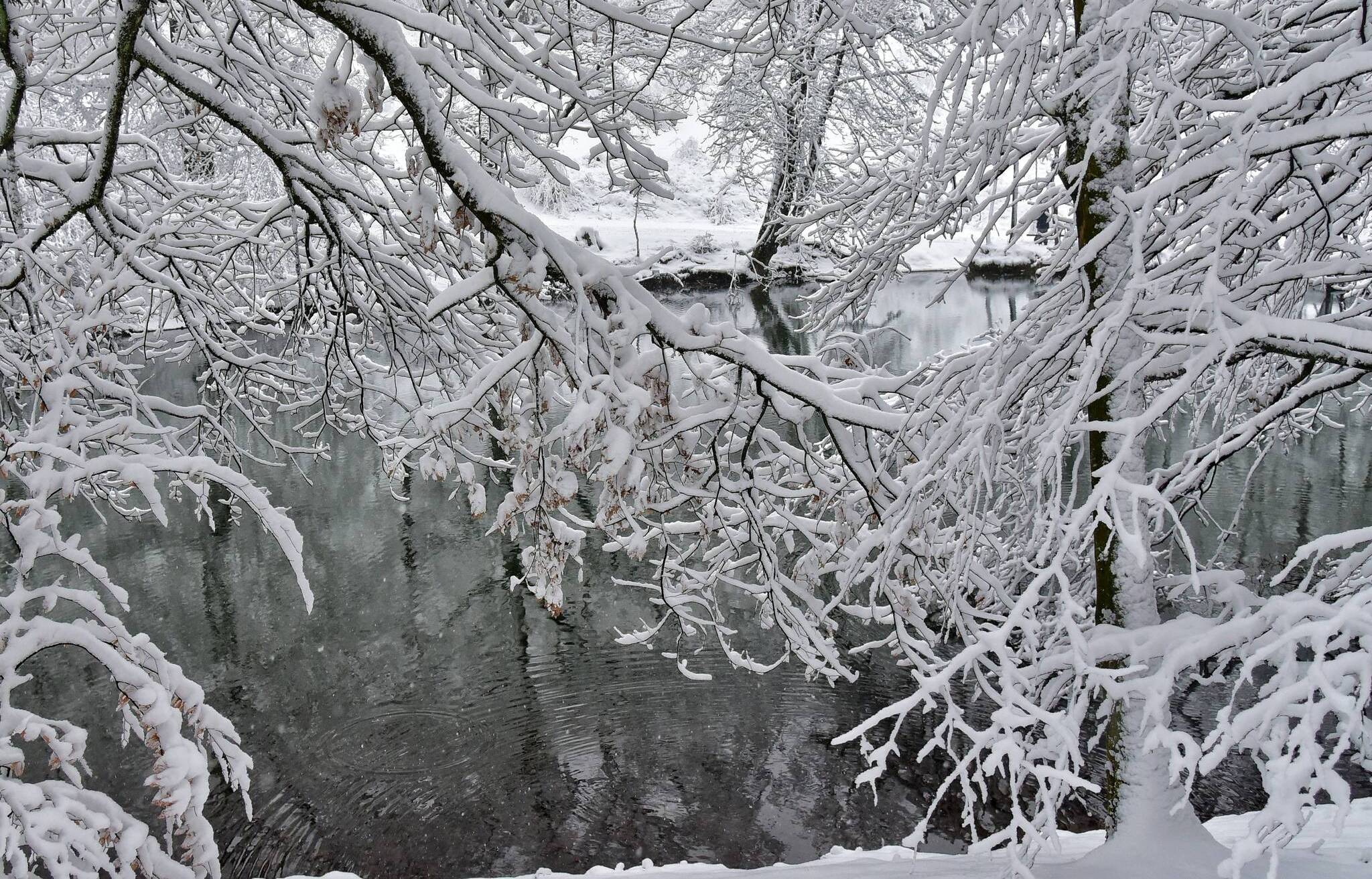  Wer am 24. Januar aus dem Fenster schaute, blickte auf eine Winterlandschaft, über Nacht hatte es geschneit.  