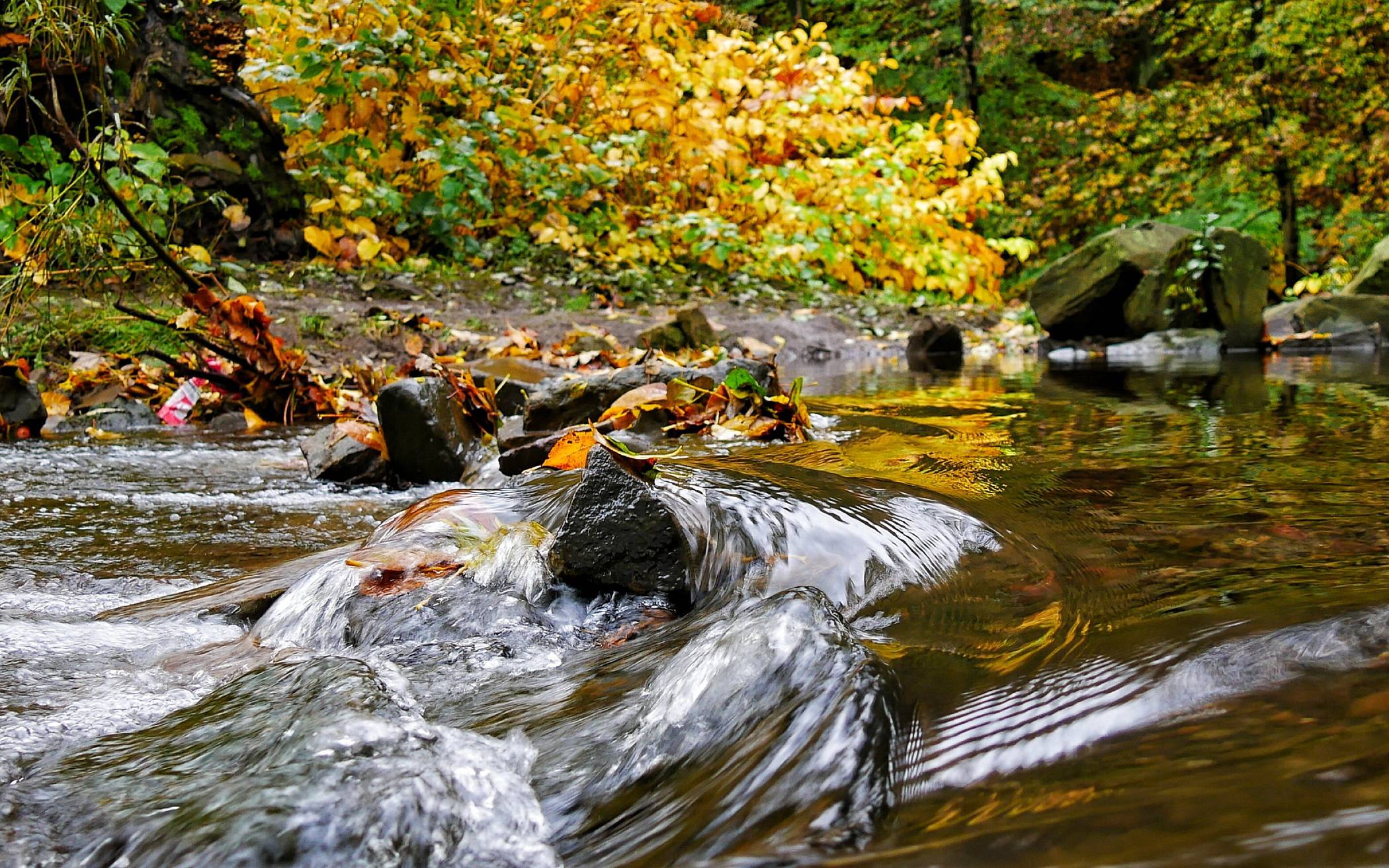  Die Wupper bei Sonnborn. 